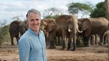 Gordon Buchanan with a herd of African elephants.