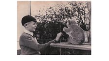 Feeding a koala