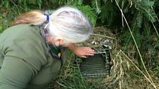 Inspecting a cat trap