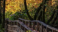 "Autumn Evening at Aberglasney"