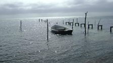 Calm shores in Belize