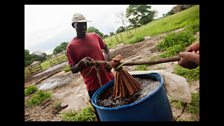 Ricky Ross -  Organic farming in Zambia