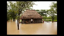 Ricky Ross -  Organic farming in Zambia