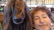 Some say James' haircut is modelled on the Afghan hound...