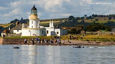 Bottlenose dolphins are a just one of several dolphin species that are a common sight around the coast of Scotland