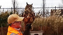 Terry and his Owl