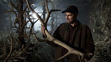 Doug Emlen inspects naturally shed antlers in Elk Hall