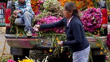 Marigolds for sale at the Central de Abastos in Mexico City