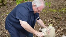 Hugo feeds a wee lamb