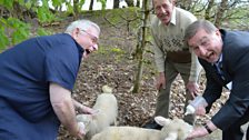 Hugo and Brian meet some Rare Breeds