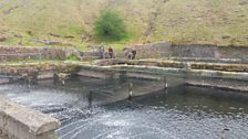 Construction of filter beds for the reservoir