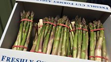 Formby Asparagus