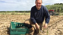 David Brooks, last of the Formby growers