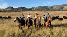 Mexican vaqueros (cowboys) – cattle ranching