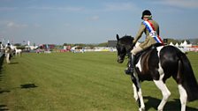 Competitor in Action at the Balmoral Show 2017