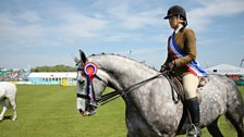 Competitor in Action at the Balmoral Show 2017