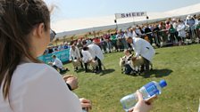 A Glimpse Of Some Livestock at the Balmoral Show 2017