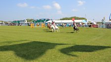 Competitors in Action at the Balmoral Show 2017