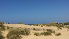 Formby sands