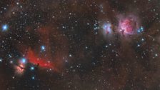 Orion and Horsehead Nebulae in Widefield