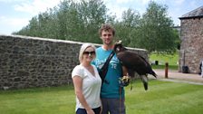 Falconry in Pembrokeshire