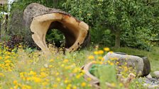 Zoflora Caudwell Children’s Wild Garden: Best Show & World Garden, Gold medal