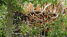 Zoflora Caudwell Children’s Wild Garden: Best Show & World Garden, Gold medal