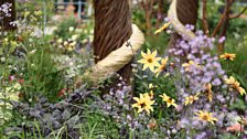 Blind Veterans UK 'It's all about community garden': Best Construction Award, Gold medal