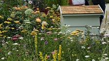 Blind Veterans UK 'It's all about community garden': Gold medal