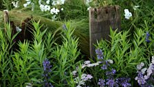 Southend Council ‘By the Sea’: Silver-gilt medal