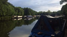 Alex On The Canal