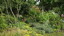 London Glades: Best Garden for Changing World, Gold medal