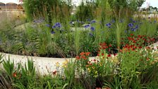 The Perennial Sanctuary Garden: Silver-gilt medal