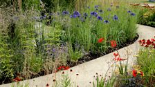 The Perennial Sanctuary Garden: Silver-gilt medal