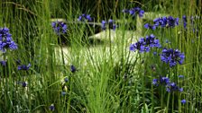 The Perennial Sanctuary Garden: Silver-gilt medal