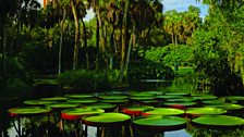 Tour of the Bok Tower in Florida featuring bells which were cast in Lougborough