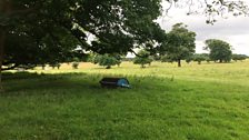 Sophie caused great amusement when she mistook this roller for a sleeping horse at Felbrigg!