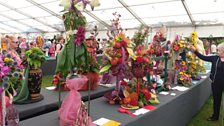 Judging in the Horticulture Tent