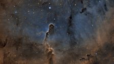 IC 1396 ("The Elephant's Trunk Nebula") in Hubble palette