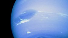 Neptune's great dark spot