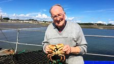 Ballywalter Shellfish: