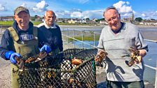 Ballywalter Shellfish: