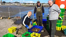 Ballywalter Shellfish: