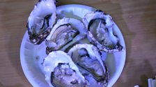 Fresh Oysters