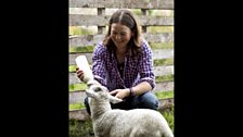 Janet feeds a lamb