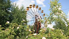 The Chernobyl Children