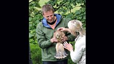 Red Kite cuteness