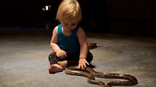 Babies with snakes