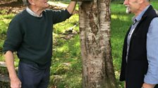 Trevor Cooper from the Grasmere Red Squirrel group and David Almond from the National Trust at the red squirrels feeders