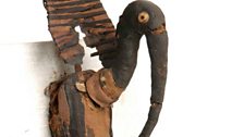 A detail from an Ibis animal mummy